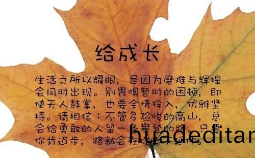 10-1FZ5092644-50.jpg 10-1FZ5092644-50.jpg